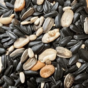 Mixed sunflower and pumpkin seeds close-up.