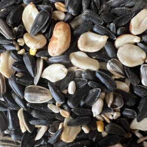 Mixed sunflower and pumpkin seeds.